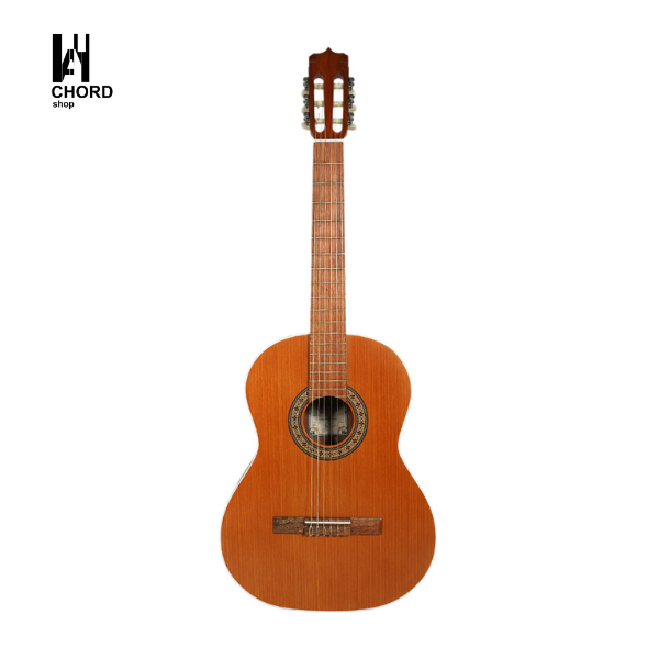 گیتار پارسی مدل D6